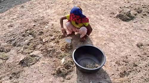 मेरी आकर्षक पत्नी खेत में काम करने के बाद मेरे साथ यौन गतिविधियों में लगी हुई है।