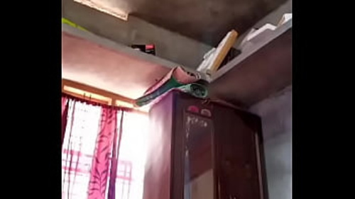 मोल्ड: एक अश्लील फिल्म